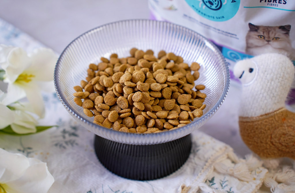 高含肉量貓糧推薦｜【Advance愛旺斯】西班牙獸醫推薦品牌