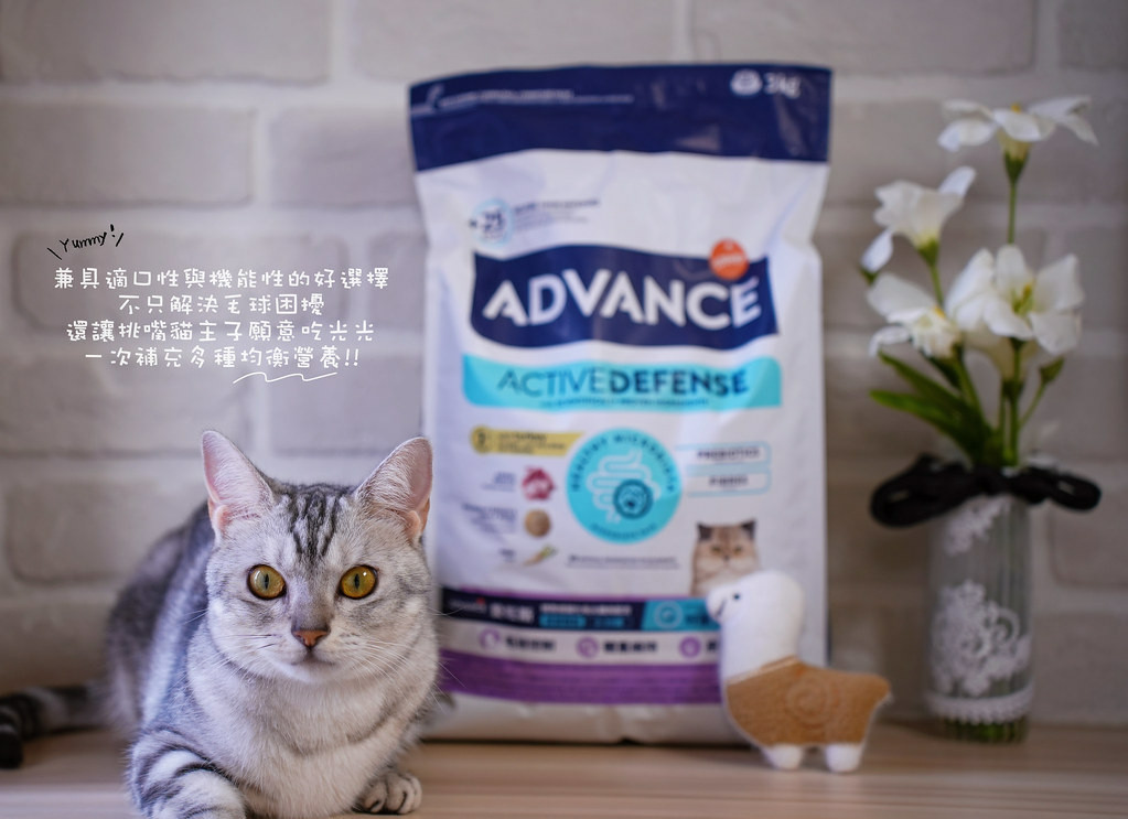 高含肉量貓糧推薦｜【Advance愛旺斯】西班牙獸醫推薦品牌