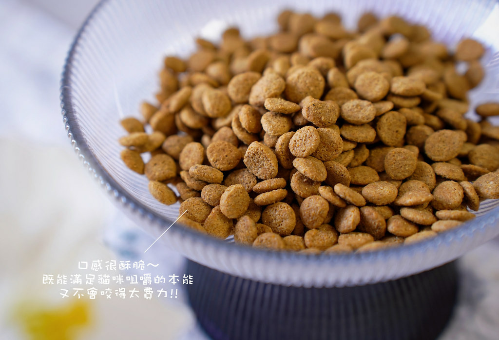 高含肉量貓糧推薦｜【Advance愛旺斯】西班牙獸醫推薦品牌