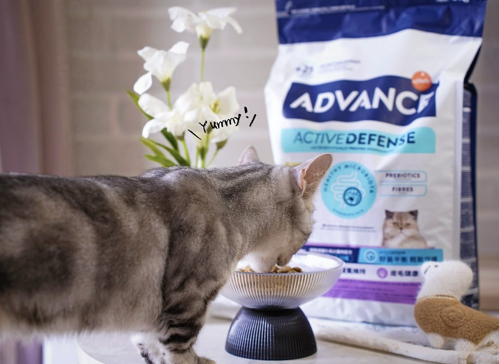 高含肉量貓糧推薦｜【Advance愛旺斯】西班牙獸醫推薦品牌
