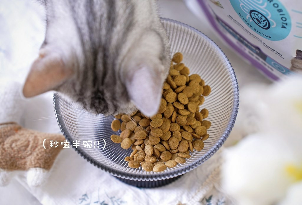 高含肉量貓糧推薦｜【Advance愛旺斯】西班牙獸醫推薦品牌