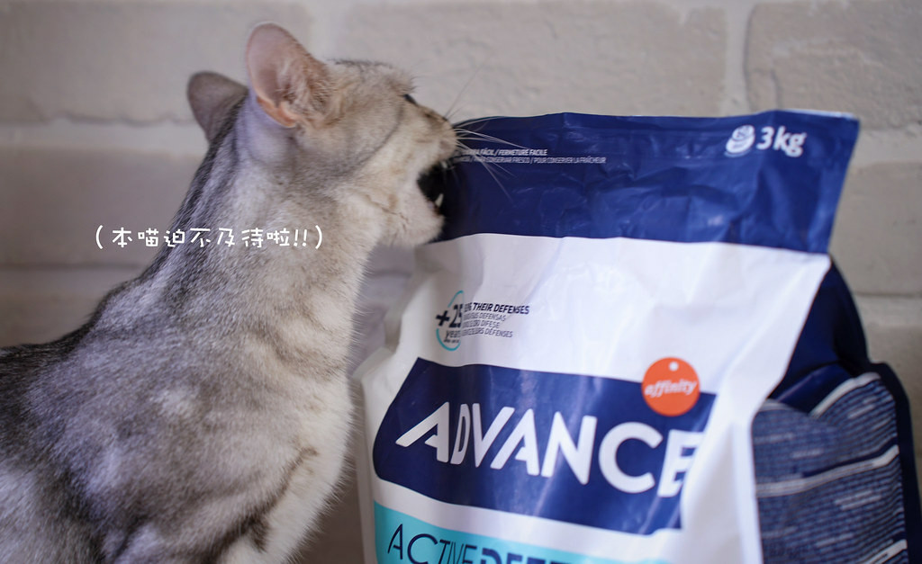 高含肉量貓糧推薦｜【Advance愛旺斯】西班牙獸醫推薦品牌