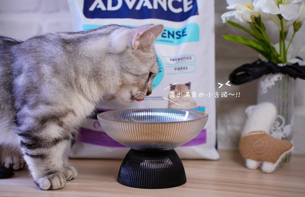 高含肉量貓糧推薦｜【Advance愛旺斯】西班牙獸醫推薦品牌