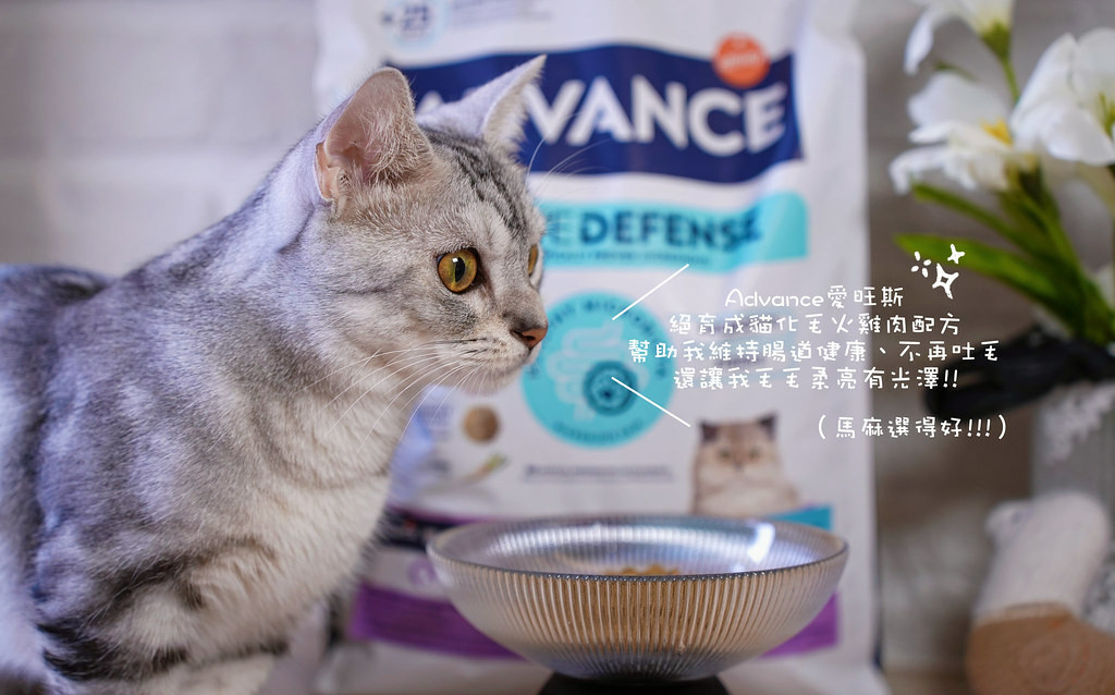 高含肉量貓糧推薦｜【Advance愛旺斯】西班牙獸醫推薦品牌