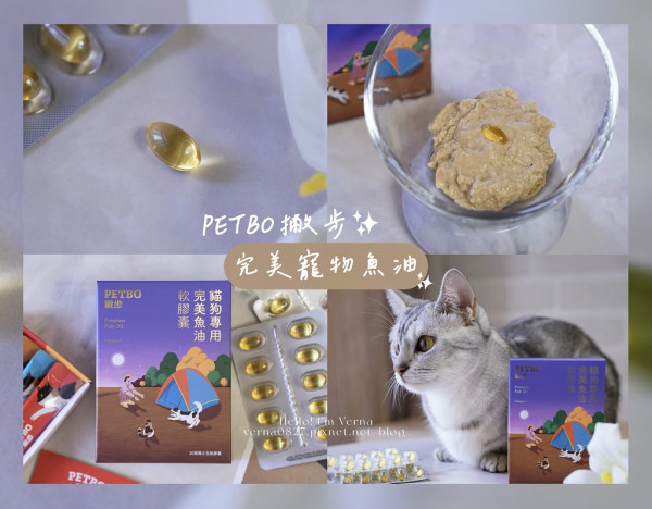 寵物魚油膠囊分享｜撇步PETBO寵物保健【完美寵物魚油】貓咪掉毛怎麼辦？貓咪魚油好處分享，提升舒適度、毛髮柔順光澤的日常守護！