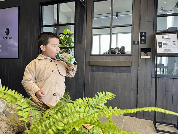 【Cycitrus杉與橙】專為孩子設計的黃金益生菌｜不卡卡好順暢|杉與橙評價/好吃兒童益生菌分享