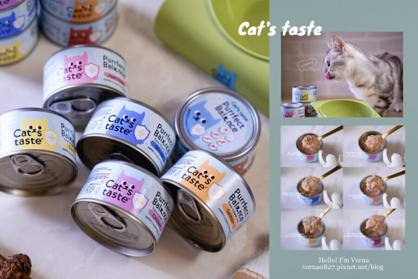 敏感貓主食罐開箱｜【Cat's taste完美貓無膠主食罐】挑嘴貓主食推薦，Cat's taste貓可滋味評價，無穀無膠無納，貓咪的每日安心選擇！