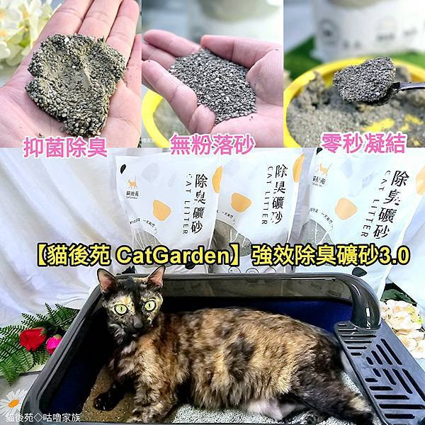 體驗｜不藏私！貓旅館也愛用的貓砂品牌開箱【貓後苑 CatGarden】強效除臭礦砂3.0｜零秒凝結、無粉落砂、抑菌除臭，炎夏消除異味首選推薦