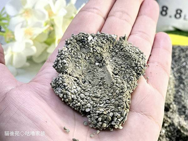 體驗｜不藏私！貓旅館也愛用的貓砂品牌開箱【貓後苑 CatGa