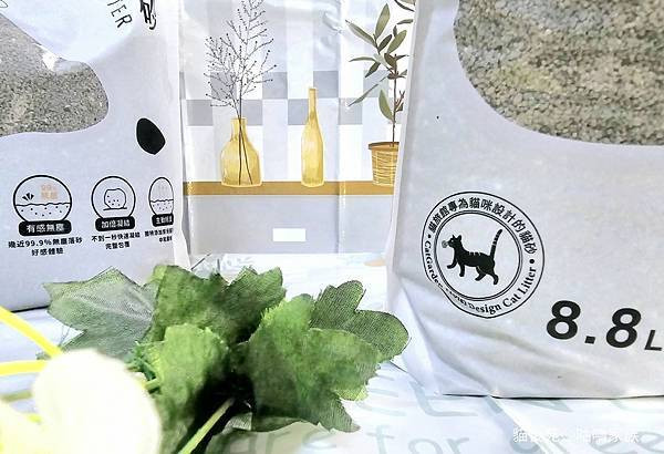 體驗｜不藏私！貓旅館也愛用的貓砂品牌開箱【貓後苑 CatGa