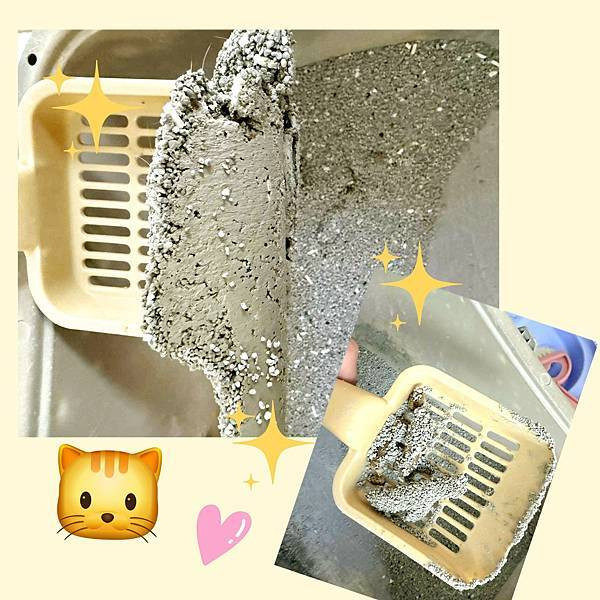 體驗｜不藏私！貓旅館也愛用的貓砂品牌開箱【貓後苑 CatGa