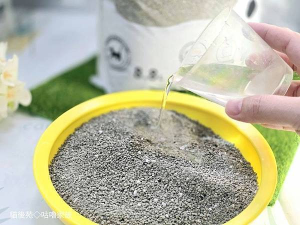 體驗｜不藏私！貓旅館也愛用的貓砂品牌開箱【貓後苑 CatGa