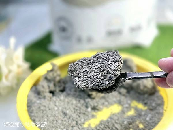 體驗｜不藏私！貓旅館也愛用的貓砂品牌開箱【貓後苑 CatGa