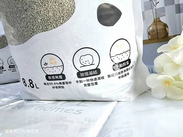 體驗｜不藏私！貓旅館也愛用的貓砂品牌開箱【貓後苑 CatGa