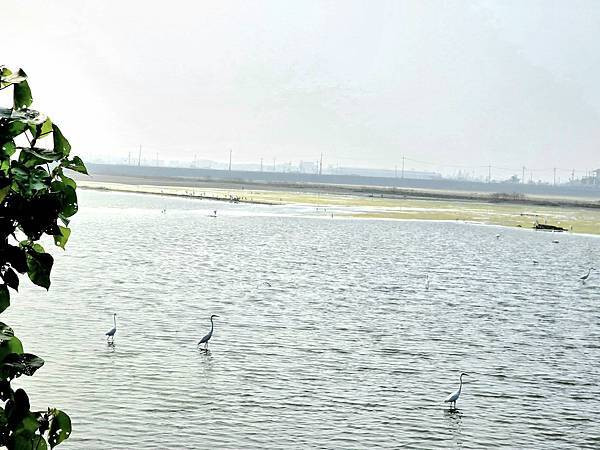 體驗｜3C世代育兒必備好物【momochan 沫沫將】蓋比的