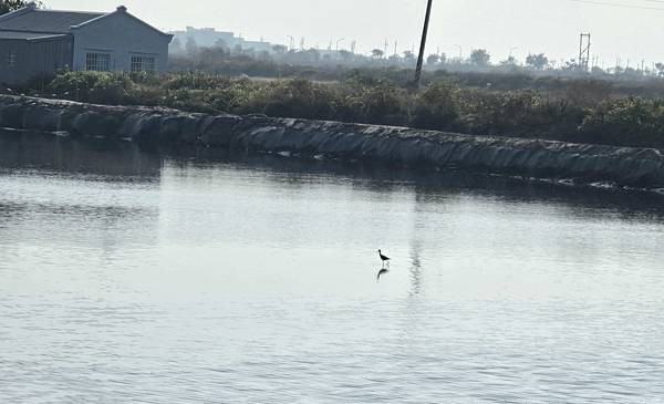 體驗｜3C世代育兒必備好物【momochan 沫沫將】蓋比的