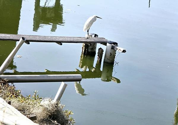 體驗｜3C世代育兒必備好物【momochan 沫沫將】蓋比的