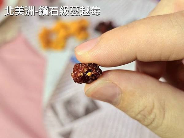 體驗｜貴婦級零食、果乾界愛馬仕開箱｜Nature's Rhy