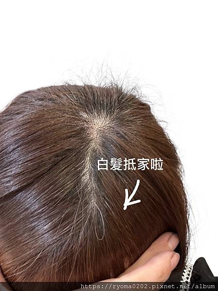 🌪️白髮暴動怎麼辦？「566 AI香波染」讓我一洗變髮！媽媽