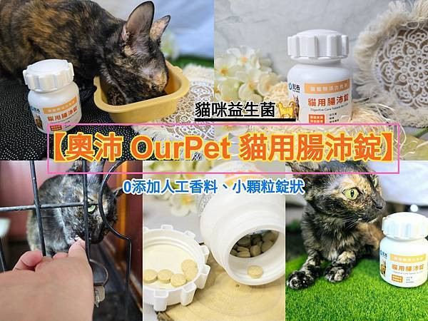 體驗｜零香料的貓咪益生菌【奧沛 OurPet 貓用腸沛錠】貓咪專用保健食品推薦