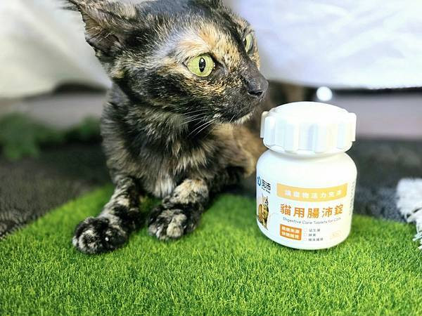 體驗｜零香料的貓咪益生菌【奧沛 OurPet 貓用腸沛錠】貓