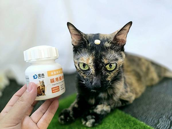 體驗｜零香料的貓咪益生菌【奧沛 OurPet 貓用腸沛錠】貓