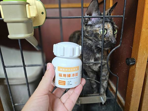 體驗｜零香料的貓咪益生菌【奧沛 OurPet 貓用腸沛錠】貓